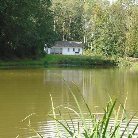 Deux Etangs Poissonneux Au Milieu Des Bois Avec Gite Moderne, La Halte Des Deux Lacs Rosée Eksteriør billede