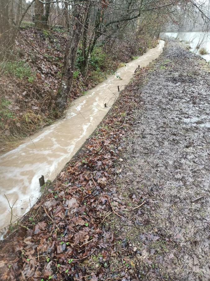 Deux Etangs Poissonneux Au Milieu Des Bois Avec Gite Moderne, La Halte Des Deux Lacs Rosée Eksteriør billede