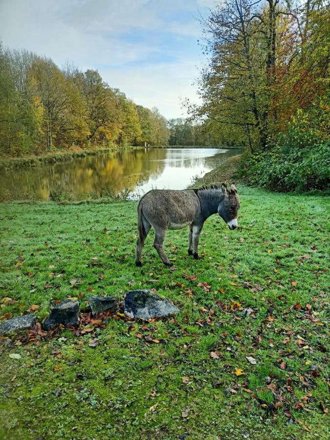 Deux Etangs Poissonneux Au Milieu Des Bois Avec Gite Moderne, La Halte Des Deux Lacs Rosée Eksteriør billede