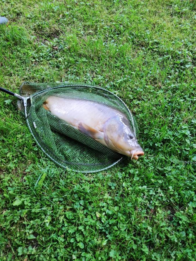Deux Etangs Poissonneux Au Milieu Des Bois Avec Gite Moderne, La Halte Des Deux Lacs Rosée Eksteriør billede