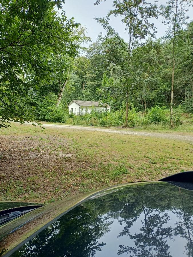 Deux Etangs Poissonneux Au Milieu Des Bois Avec Gite Moderne, La Halte Des Deux Lacs Rosée Eksteriør billede