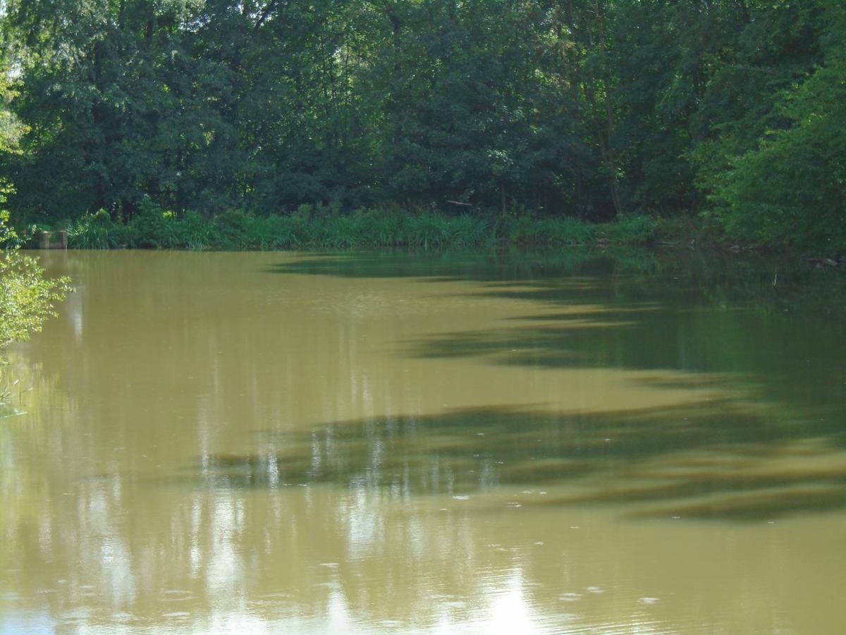Deux Etangs Poissonneux Au Milieu Des Bois Avec Gite Moderne, La Halte Des Deux Lacs Rosée Eksteriør billede