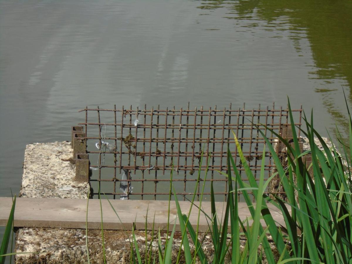 Deux Etangs Poissonneux Au Milieu Des Bois Avec Gite Moderne, La Halte Des Deux Lacs Rosée Eksteriør billede