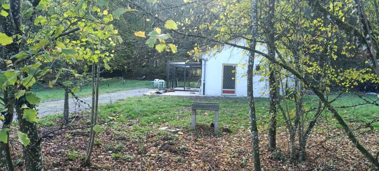 Deux Etangs Poissonneux Au Milieu Des Bois Avec Gite Moderne, La Halte Des Deux Lacs Rosée Eksteriør billede