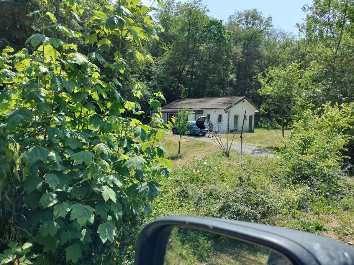 Deux Etangs Poissonneux Au Milieu Des Bois Avec Gite Moderne, La Halte Des Deux Lacs Rosée Eksteriør billede
