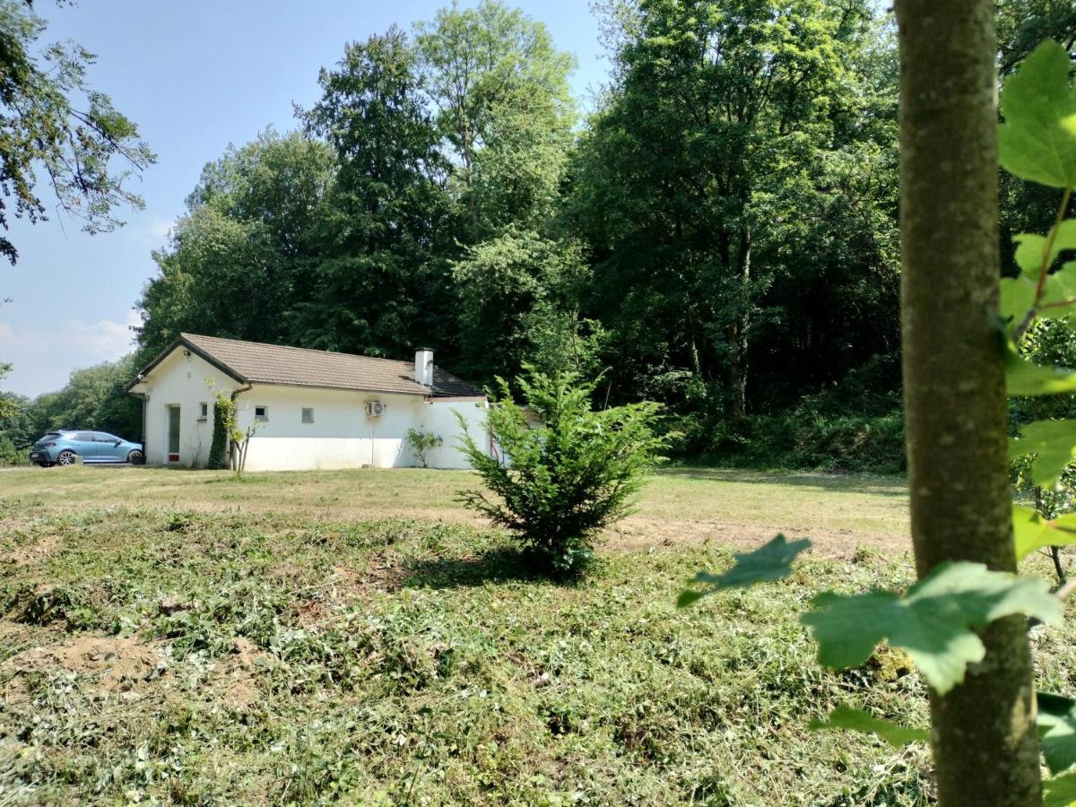 Deux Etangs Poissonneux Au Milieu Des Bois Avec Gite Moderne, La Halte Des Deux Lacs Rosée Eksteriør billede