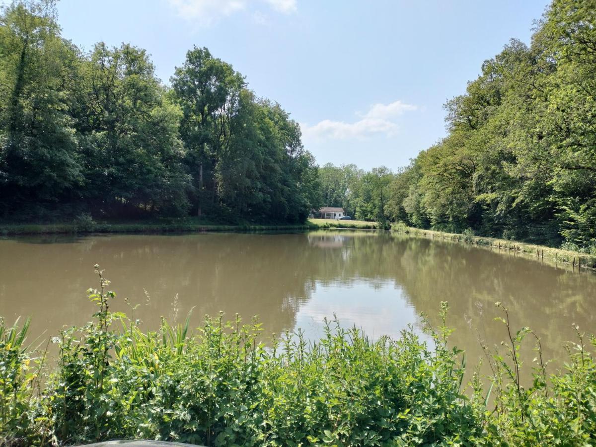 Deux Etangs Poissonneux Au Milieu Des Bois Avec Gite Moderne, La Halte Des Deux Lacs Rosée Eksteriør billede
