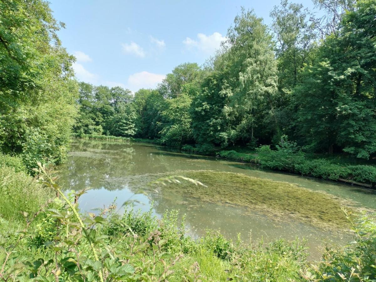 Deux Etangs Poissonneux Au Milieu Des Bois Avec Gite Moderne, La Halte Des Deux Lacs Rosée Eksteriør billede