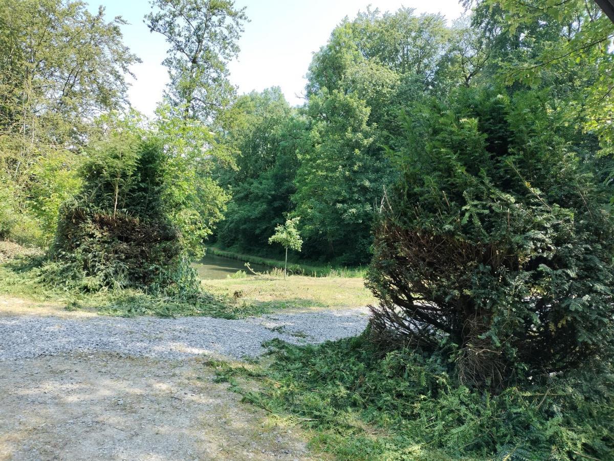 Deux Etangs Poissonneux Au Milieu Des Bois Avec Gite Moderne, La Halte Des Deux Lacs Rosée Eksteriør billede